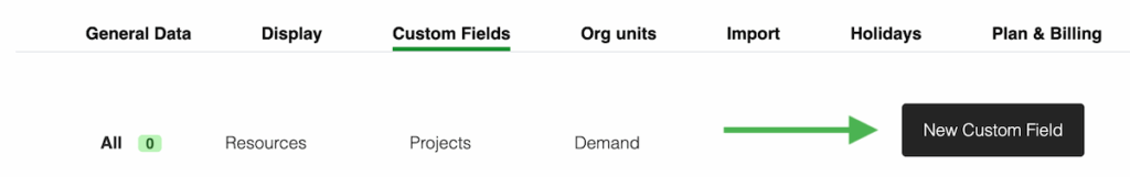 Custom fields tab in TeamBandit. Custom fields enable you to assign custom attributes to people and projects, offering a more granular way to capacity planning.