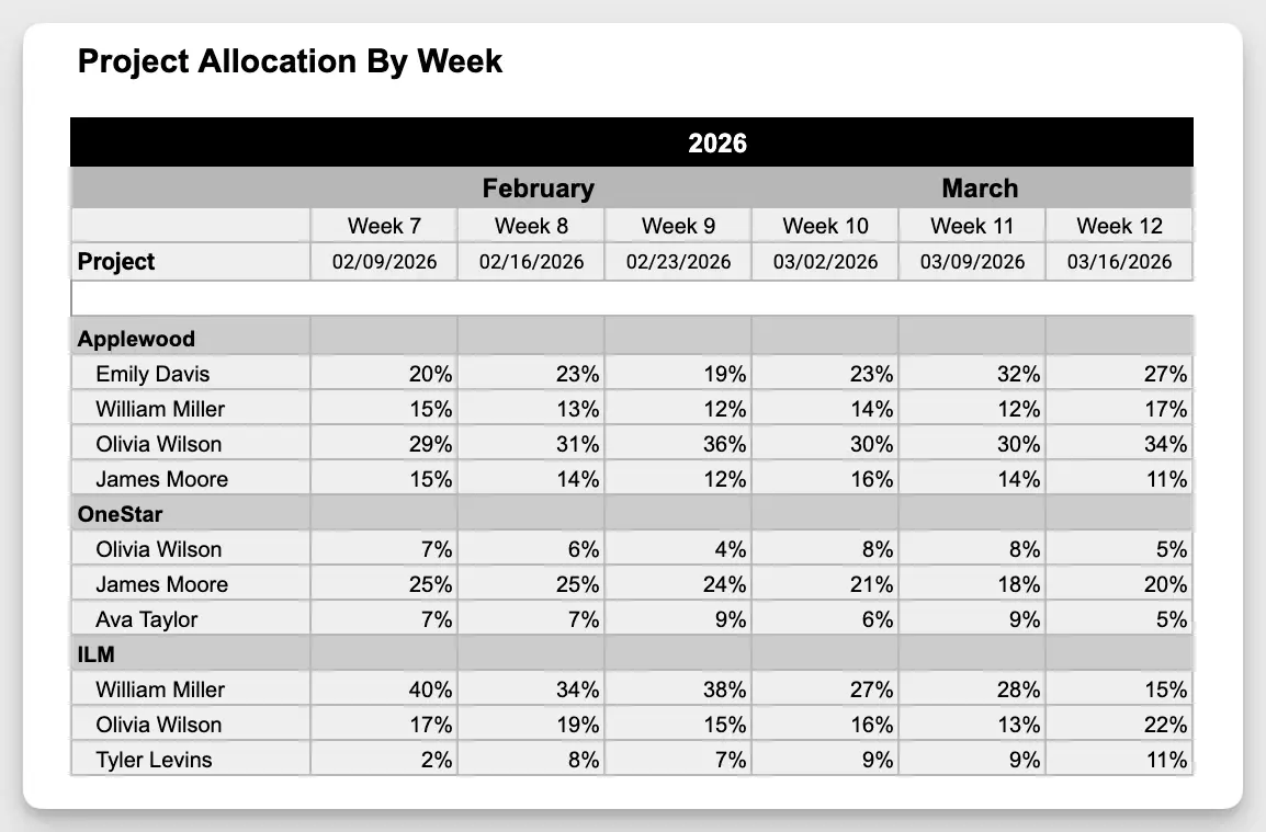 The project allocation report shows allocation by person and project, expressed as a percentage of individual capacity.